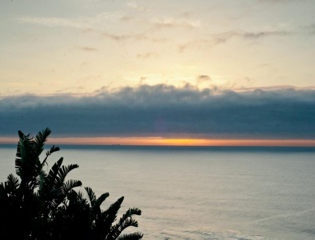 The Tides Inn Bed And Breakfast Durban Dış mekan fotoğraf